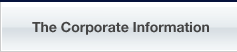 The Corporate Information