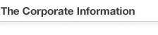 The Corporate Information